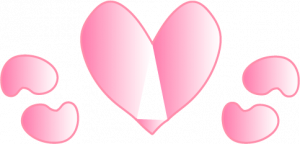 heart motif with beans on the left and right side of the pink heart