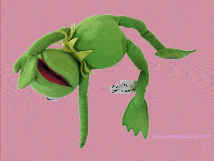 a despaired kermit floats in front of a pink, hypnotic background with a clothing tag that reads: prop. of corp. america