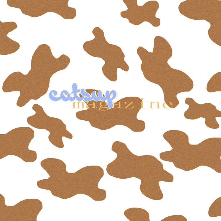 catsup magazine wordmark over light brown cow splotches
