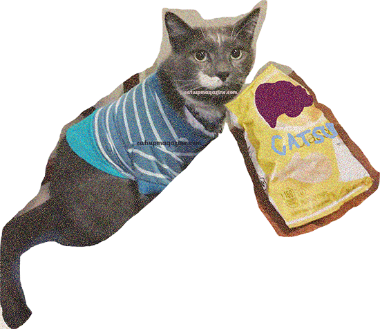 A cutout graphic of a photographed cat, 2% Milky Way, sitting in front of an open bag of CATSUP chips.